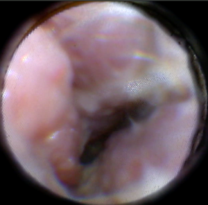 hiff cafe tamagawa » 未分類hiff cafe tamagawa｜カフェ併設の皮膚 